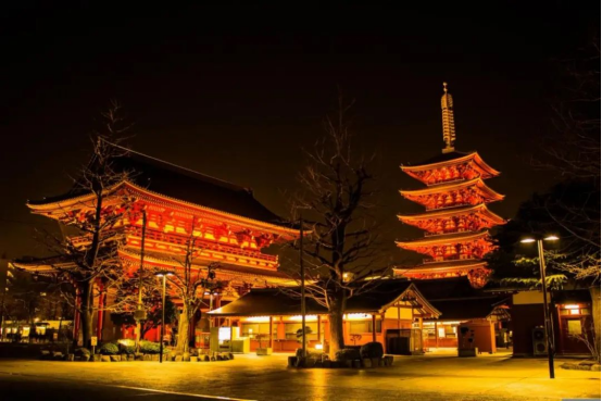 东京大学 东京 大学 探秘 在学 学术 殿堂 文化 地标 穿梭