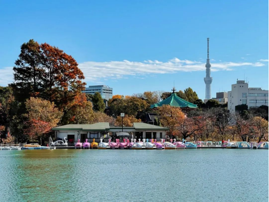 东京大学 东京 大学 探秘 在学 学术 殿堂 文化 地标 穿梭